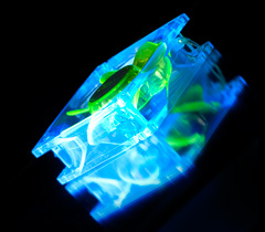 Флуоресцентный вентилятор 80 мм зелено синий со светодиодами