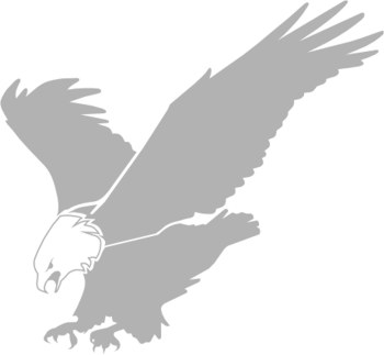 Наклейка гравировочная на окно   Eagle   цвет серебристый металик