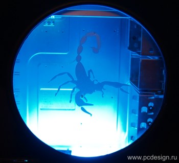 Наклейка гравировочная на окно   Scorpio   цвет серебристый металик