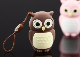 Флэшка подарочная Bone Owl Driver 4 ГБ коричневый совенок